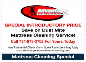 Dust Mite Mattress Cleaning Special 