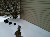 Foundation Water Damage Snow