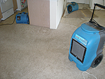 Water damage clean up