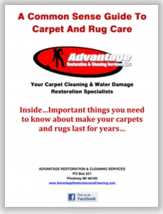 carpet care guide coupons