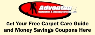 carpet cleaning coupons