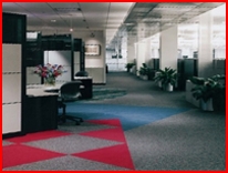 Carpet Cleaning in Michigan